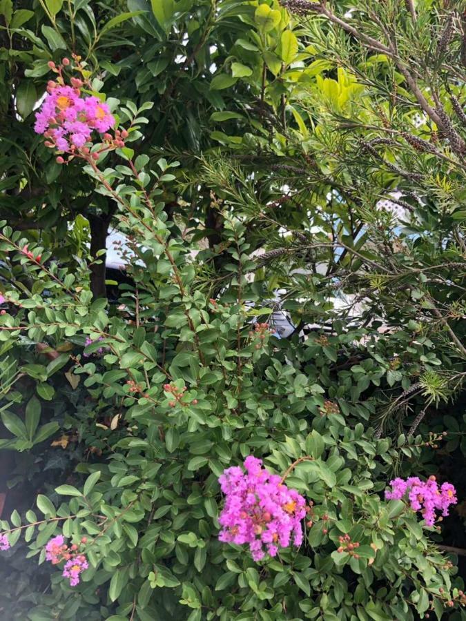 PUY Apartment Flora מראה חיצוני תמונה